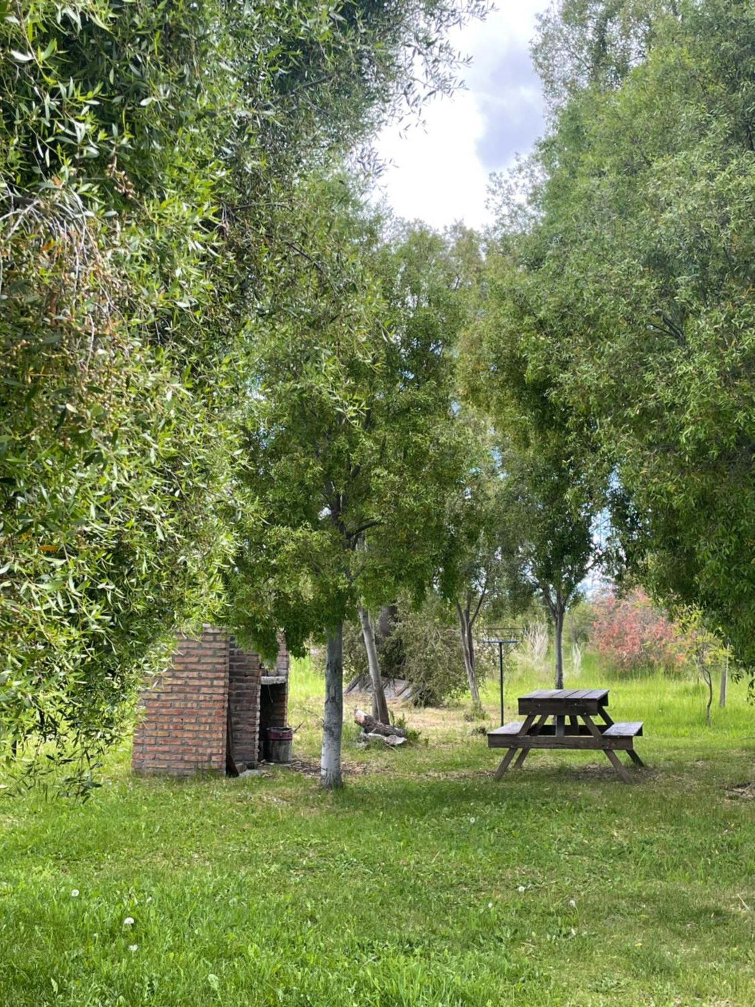 Chalet Cordon Situacion Trevelin